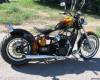 Geon-CLUBMAN 1